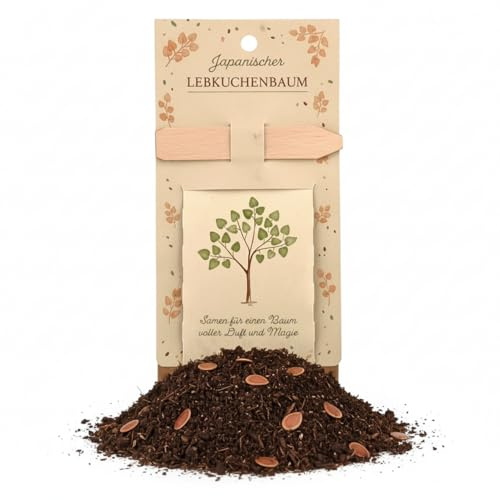 Lebkuchenbaum Anzuchtset – nachhaltiges DIY Pflanzset als kleines Geschenk im Frühling – ideal zu Ostern, als Mitbringsel oder Frühlingsüberraschung – Starter Set für Zuhause