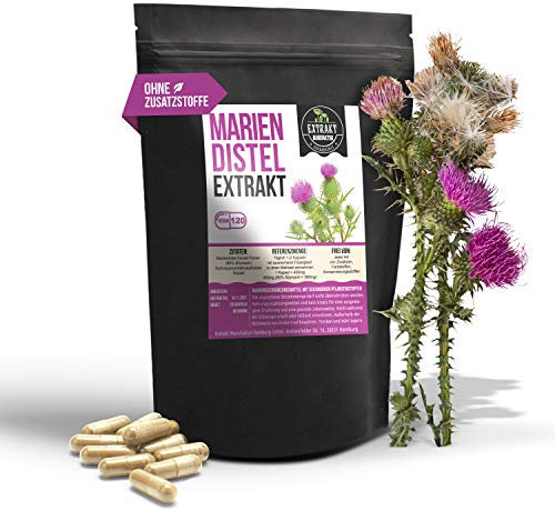 Mariendistel Extrakt | 80% Silymarin | 120 Kapseln 450mg | ohne Zusatzstoffe | hochdosiert 100% vegan und in Deutschland hergestellt (Kapseln 120)