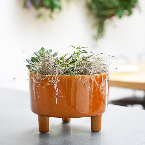 Ivyline Pisa Premium Glaze Bowl Ceramic Planter on Legs - Mustard - Premium Quality, UV Stable & Waterproof Indoor Decorative Flower Pot - H14cmxD19cm