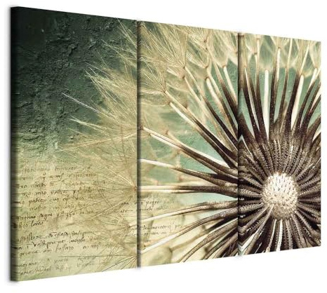 murando - Quadro Acustico Fiori Soffioni 90x60 cm 3 Pezzi - Stampa su Tela Schiuma Acustica - Quadri Fonoassorbenti Decorativi Moderni - Protezione dai Rumori Camera da Letto Acustiche b-B-0044-b-f
