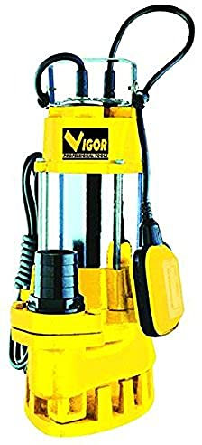 Vigor VE750 SUB Elettropompa in Inox/Ghisa per Acque Luride, 2 Pollici F