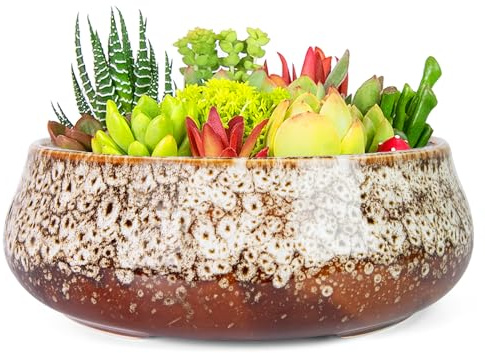 ARTKETTY Succulent Plant Pot - 20 CM Large Bonsai Pots with Drainage, Ceramic Planters for Indoor Outdoor Plants, Round Shallow Cactus Flower Plant Container Bowl