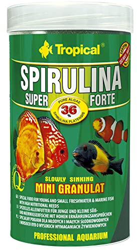 Tropical Super Spirulina Forte Mini-Granulatfutter mit 36% Spirulina (Platensis) Anteil, 1er Pack (1 x 250 ml)