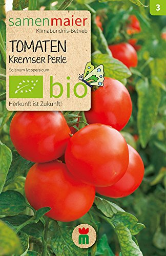 BIO Tomaten Kremser Perle Samen - Hochwertiges BIO Saatgut für aromatische Tomaten - Ideal für Garten, Hochbeet und Balkon - Inhalt für ca. 10 Pflanzen - Samen Maier