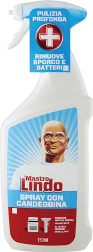 Mastro Lindo Reinigungsspray mit Bleichen, entfernt schwierige Flecken, 750 ml
