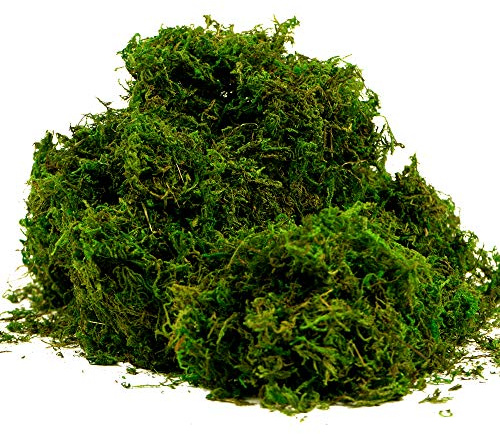 BYHER Artificial Moss Fake Green Grass for Centerpieces Home Kitchen Garden Decor (8OZ, Fresh)
