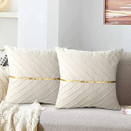 MAIXUN Samt Kissenbezüge 45x45 cm Beige Zierkissenbezug Dekokissen Sofakissen Weich Couchkissen Kopfkissen Sitzkissen Kissenbezug Deko Kissen für Wohnzimmer Schlafzimmer Büro Auto Sofa 2er Set