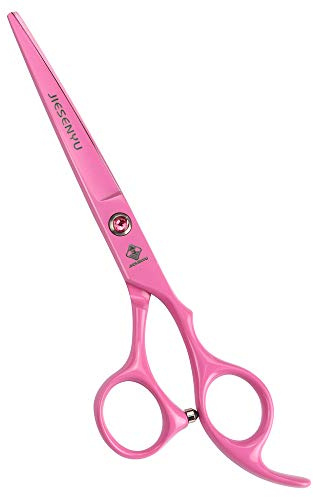 JIESENYU Ciseaux de coiffure professionnels 15,2 cm 440 C haute dureté pour coupe et coiffure (ciseaux de coupe)