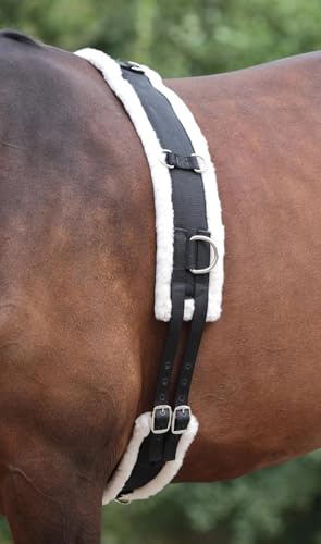 Shires Nylon Lunge Roller With Fleece Padding in Black Full, Black