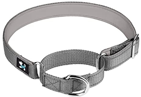 haoyueer Justerbar martingal säkerhetsträning hundhalsband, mjuk neopren vadderad andningsbar nylon husdjurshalsband för små medelstora hundar (M, grå)