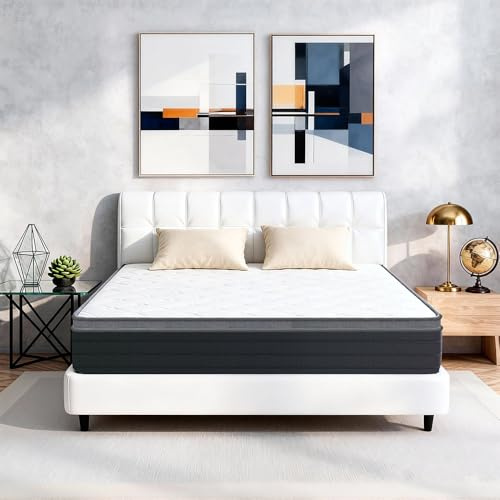TECHTIC 10 Inch Queen Hybrid Mattress, Medium Feel with Pocket Springs & Memory Foam