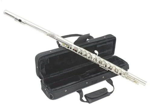 Flauto Do Foro Chiuso Strumento musicale da concerto professionale per flauto traverso con chiave C a 16 fori aperti chiusi con scatola