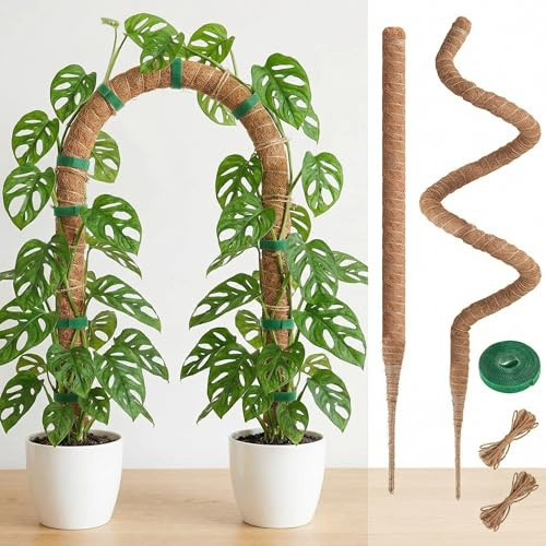 Monstera Rankhilfe, 2 Stück 120cm Biegsamer Kokos Pflanzstab mit Zubehör, Kokosfaser Moosstab für Monstera Stab Kletterpflanzen im Innenbereich