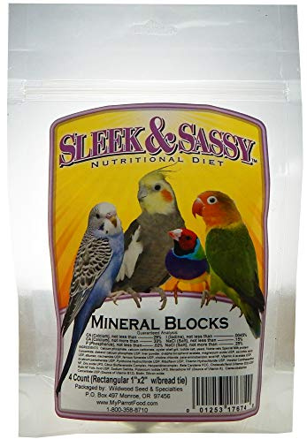 SLEEK & SASSY Mineral Blocks (1x2) for Birds (4 Ct.)