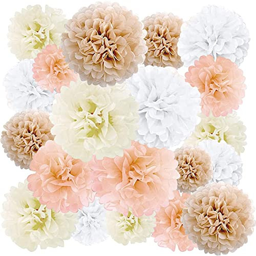 Pompon Decorativo Decorazioni, 20 Pezzi Velina Festone Decorazioni, Pompon Carta, Fiore di Pompon di Carta Velina, Palla di Fiori di Carta per Matrimonio, Compleanno, Nascita, Laurea, Natale