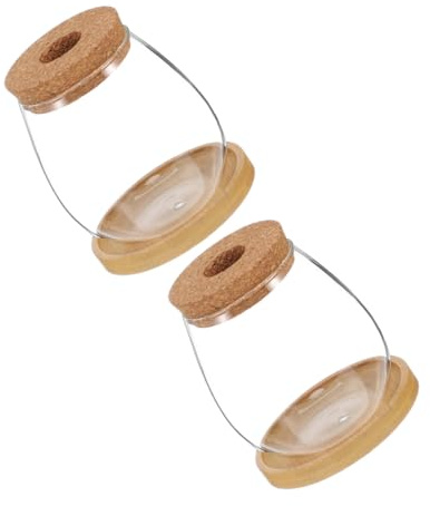 ORFOFE 2 Ensembles Lot de Vases Hydroponiques Verre Borosilicate avec Soucoupes Bambou Pots Eau Transparents pour Culture sans Sol Décoration de Table et Propagation de Plantes Intérieur