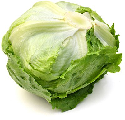 Croccante lattuga icebergTarzan - teste estremamente grandi - 900 semi