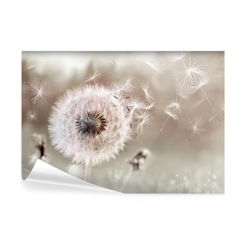 decomonkey Premium Fototapete Pusteblume Natur, 400x280 cm, Blumen, Vlies | Löwenzahn, Pflanzen, Abstrakt, Schlafzimmer, Wohnzimmer, Tapete, Fototapeten, Tapeten, Vliestapete, Wandtapete, moderne, Wand