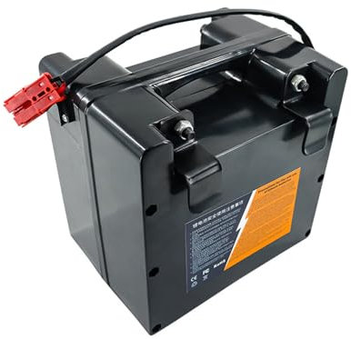 TGHY Batería de Silla de Ruedas eléctrica de 24 voltios 24 V 15 AH 20 AH 25 AH 30 AH 35 AH 40 AH 45 AH 50 AH 60 AH Batería Recargable de Litio LiFePO4 para Motor de 50-1500 W,24v 50ah