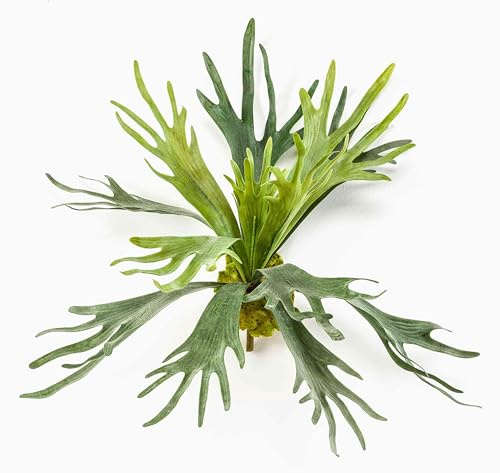 artplants.de Deko Hirschfarn, 19 Blätter, Silber - grün-Kunstpflanze - Dekopflanze