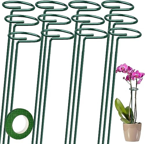 LATERN 12 Pezzi Pali di Supporto per Piante, 40CM Paletto di Supporto a Stelo Singolo Diametro 6CM Anello di Supporto per Gabbia per Piante con 25m Nastro Verde per Fiore Amarillide Li Rosa Peonia