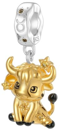 XWN Damen Charm Anhänger Sternzeichen für Armband 925 Sterling Silber 12 Sternbilder Charms Beads passend für Pandora Armband, Kompatibel mit Europäischen Armband und Halskette für Frauen Mädchen