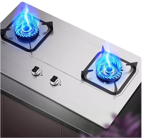 Cuisinière Au Propane À 2 Brûleurs, Table De Cuisson À Gaz À Allumage Automatique En Acier Inoxydable, Support De Casserole En Fonte, Pour Extérieur/camping(NG)