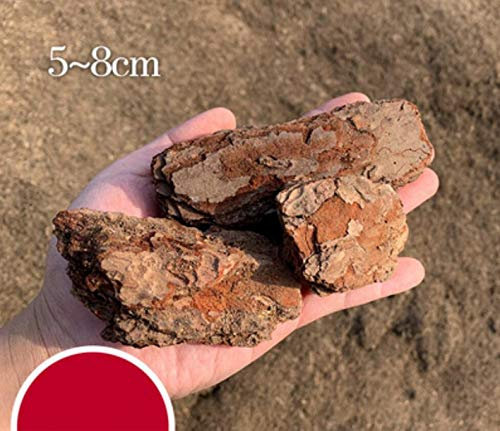 ZAANU Corteza for macetas de orquídeas, Corteza de orquídea Natural, mantillo for Plantas de Interior con astillas de Madera, 2,2 oz (1000 g - Tamaño 5~8 cm/251)