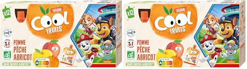 Vitabio Cool - Gourdes Fruits Pomme Pêche Abricot 12x90 g - Compote - BIO (Lot de 2)