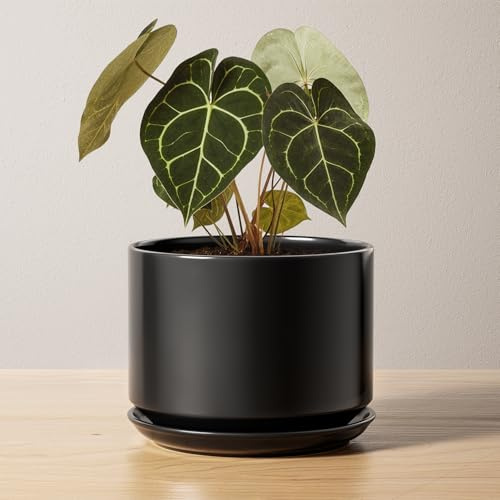 LE TAUCI Keramik-Blumentopfe, 17 cm Übertopf mit Untersetzer & Drainageloch, Moderner Pflanztopf für Zimmerpflanzen, Stabil & Langlebig, Ideal für Wohn- oder Bürodekoration, Schwarz
