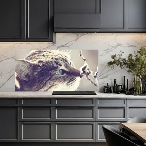 banjado Küchenrückwand Glas ohne Bohren 110x55cm – Glasrückwand Küche mit Motiv Weidenkätzchen/Spritzschutz Küchenrückwand Glas/selbstklebende Küchenrückwand Platte - magnetisch & beschreibbar
