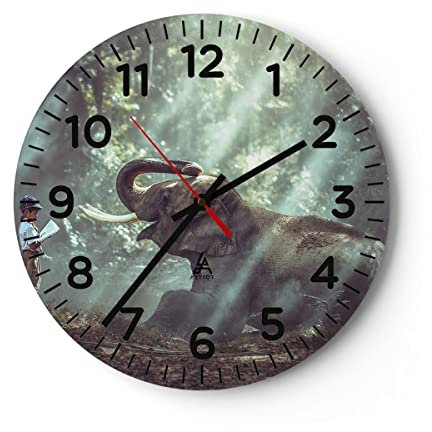Modern Wanduhr Elefant Dschungel Stoßzahn 40x40cm Rund Groß Wand Uhr Glas Analog Zimmeruhren Küche Büro Wohnzimmer Glasuhr Wall Clock Dekoration Design Wanddekoration Küchenuhr C4AR40x40-3486