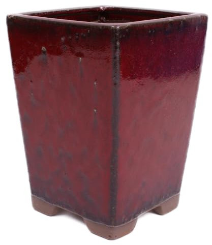 Bonsai - Kaskadenschale 14 x 14 x 19 cm Bordeaux 50199