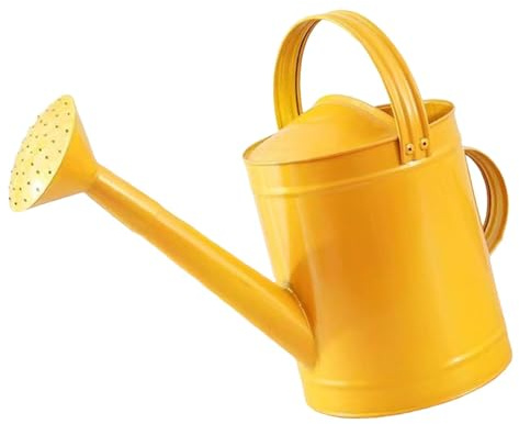 Fonowx Annaffiatoio in Metallo da 4 Litri con Testina di Irrigazione E Doppi Manici per Il Giardinaggio, d'oro