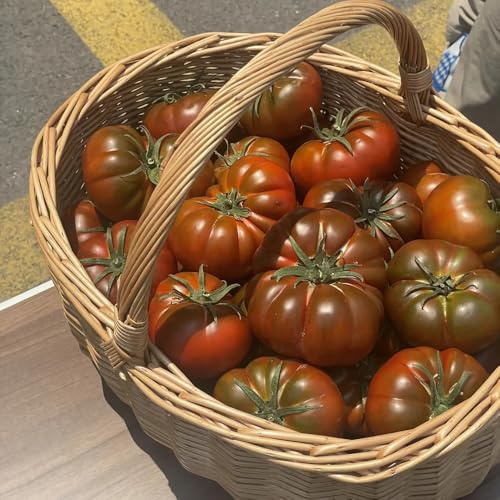 FleischtomatenSamen, Beefsteak tomato, ochsenherz tomatensamen, stauden winterhart mehrjährig gemüsesamen bio wintergemüse alte sorten 80pcs