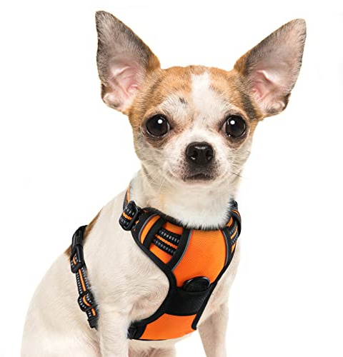 Eagloo Harnais Chien, Harnais Anti Traction pour Chien Réfléchissant Réglable, Facile à Mettre, avec Poignée Contrôle, Arnet pour Chiens Solide Respirant, Harnet pour Chiens Petit, Orange, S