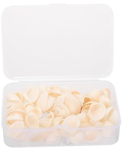 DOITOOL DIY Muscheln Aus Natürlichem Material Meer Shell Ornamente Bastelmaterial Haus Dekoration Handwerk