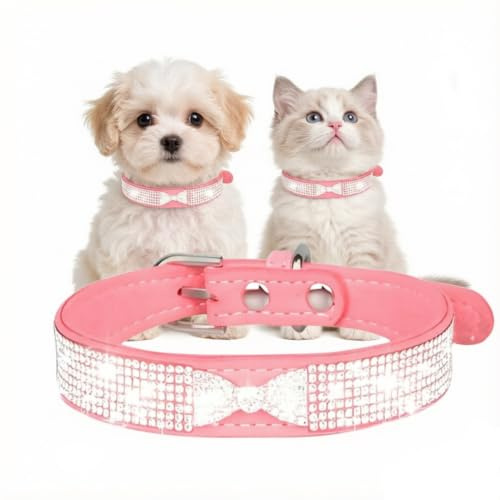 Halsband für kleine Hunde, Welpen, Katzen, Strasssteine, niedliche Fliege, für weibliche Jungen, kleines Haustier, Kätzchen, modisch, Hot Pink, Größe XS