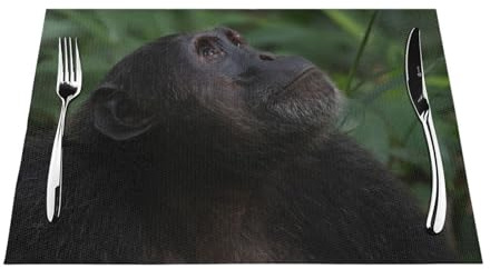 Chimpanzee Look Up In The Tree Tops Washable Pvc Place Mats, Non-Slip Rectangle Placemats For Kitchen Dining Table, Heat Insulation Table Mats 45x30cm (18x12inches)