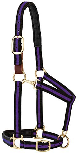 Weaver Leather Gepolstertes Halfter für Kinn und Hals, verstellbar, 2,5 cm durchschnittlicher Zugluft für Pferd oder Jährling, lila gestreift