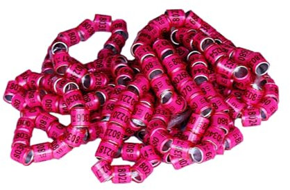 50 Stück Multicolor Taubenbeinringe Taubenbeinringe Identifizieren Bänder Kunststoff 2025 Taubenring Taubenbeinringe Vögel Fußring Zubehör Für Training Identifizieren Sie Vögel Fußring