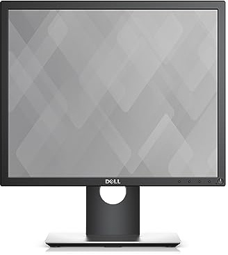 DELL 19 MONITOR - P1917S
