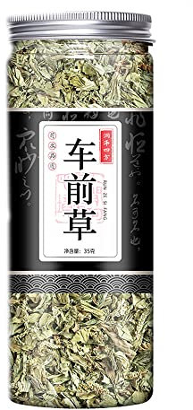 cn herb 35g Plantain Canned Natural Drying with High Drying Degree