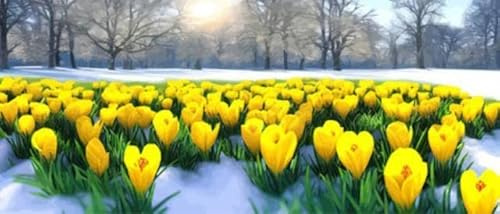 adrium Cuadro en lienzo de 90 x 40 cm con flor de nieve y flor de primavera silvestre, hermosa hierba de la naturaleza, esbozo de la rama de la luz de la nieve, planta floreciente (198392089)