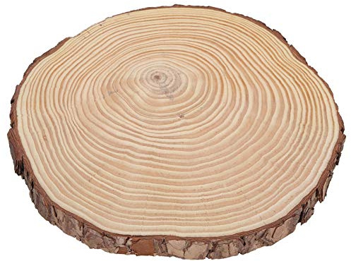 QANYEGN Wood Chip, Natural Wood Chip, Unfinished Wood Chip, for Graffiti DIY Decoration Irregular Wood Circle with Bark(22.5 * 23)