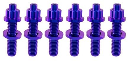 RISON-Titanium 6 Set Titan Auspuffkrümmer Stehbolzen Kit M8x1.25x45mm, GR5 Titan Ansaugung Auspuff Bolzen und Muttern Kit, Krümmerstehbolzen Abgaskrümmer Kit passend für Ford, Honda