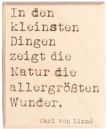 Rayher Stempel Holz, Naturwunder, 4 x 5 cm, Holzstempel zum Gestalten von Karten, Umschlägen, Geschenken, Butterer Stempel, 29273000, Natur