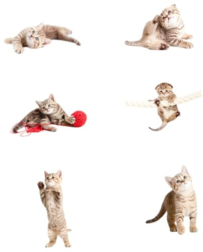 Pegatinas Anticolisión para Ventanas Forma de Gato 6 Piezas