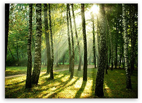 ge Bildet Bild auf Leinwand | Pflanzen Bilder - Wald - natur blumen Wald Sonnenschein grün in 70x50 cm als Wandbild | Wand-deko Dekoration Wohnung modern Bilder | 2207