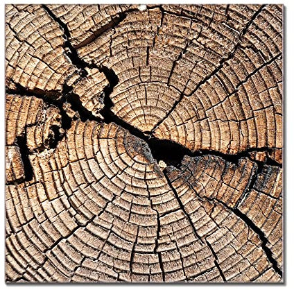 banjado Glas Magnettafel (80 x 120cm) - Magnetwand Glas - Magnetpinnwand als Memoboard - Pinnwand Magnettafel Küche, Büro, Kinderzimmer - Zeichen Der Zeit
